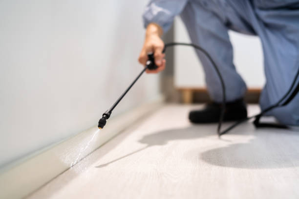 Rodent Entry Point Assessment in Riviera Beach