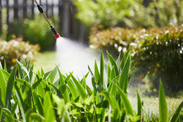 Tamper-Resistant Bait Stations for Rodents in Riviera Beach
