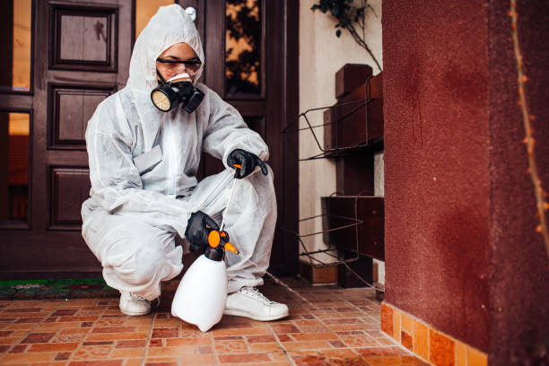 Attic and Crawl Space Rodent Treatment in Riviera Beach