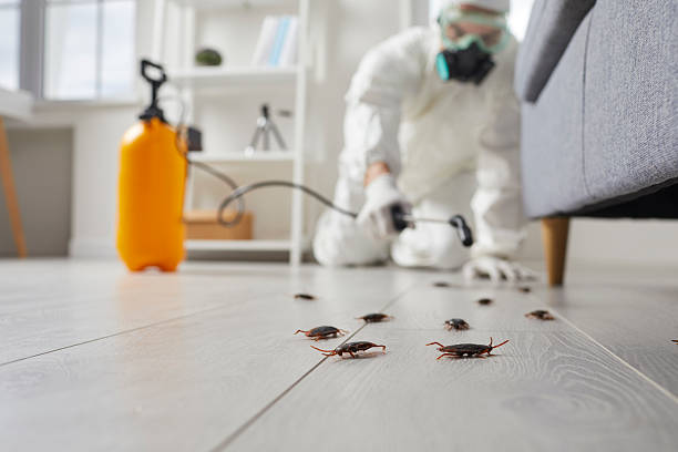Commercial Rodent Management in Riviera Beach
